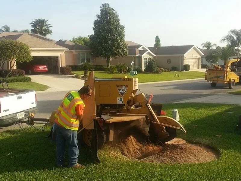 Stump Grinding and Tree Care in Central Florida | Airborne Tree Service
