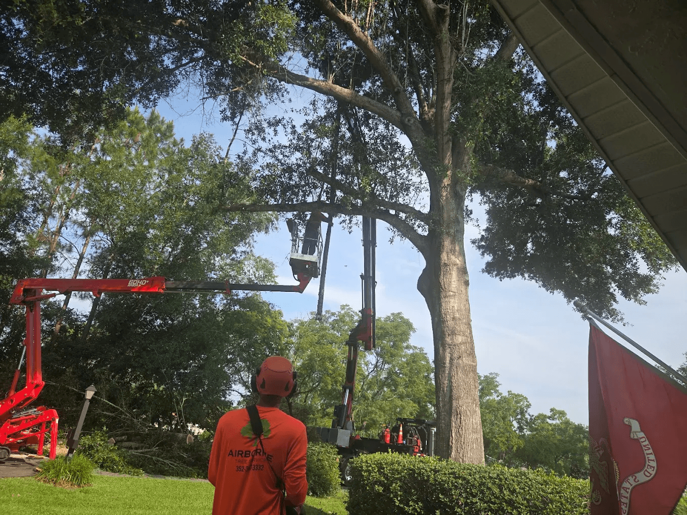 5 Signs You Need Emergency Tree Service Immediately