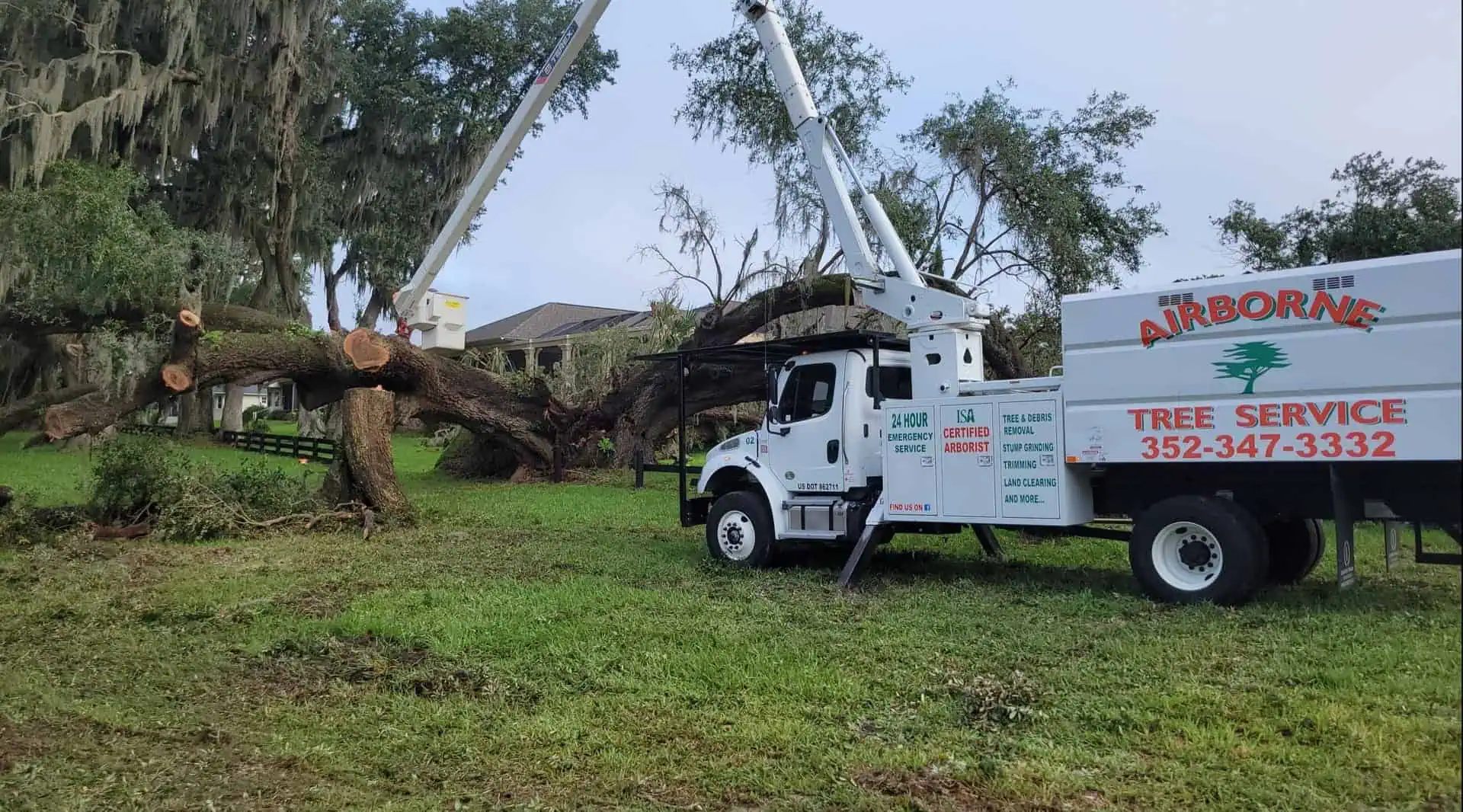 Large-scale tree removal job in Central Florida completed professionally