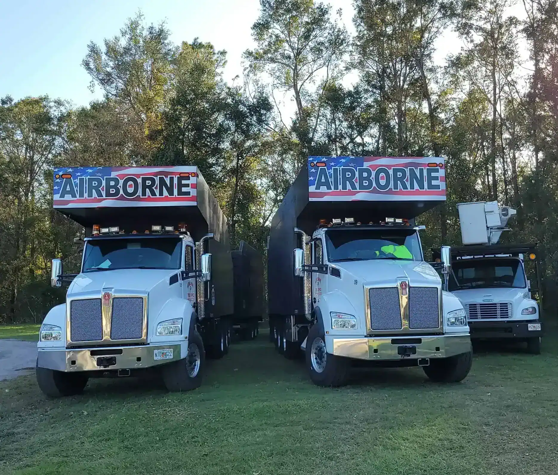 Professional tree service in Central Florida with clean job site