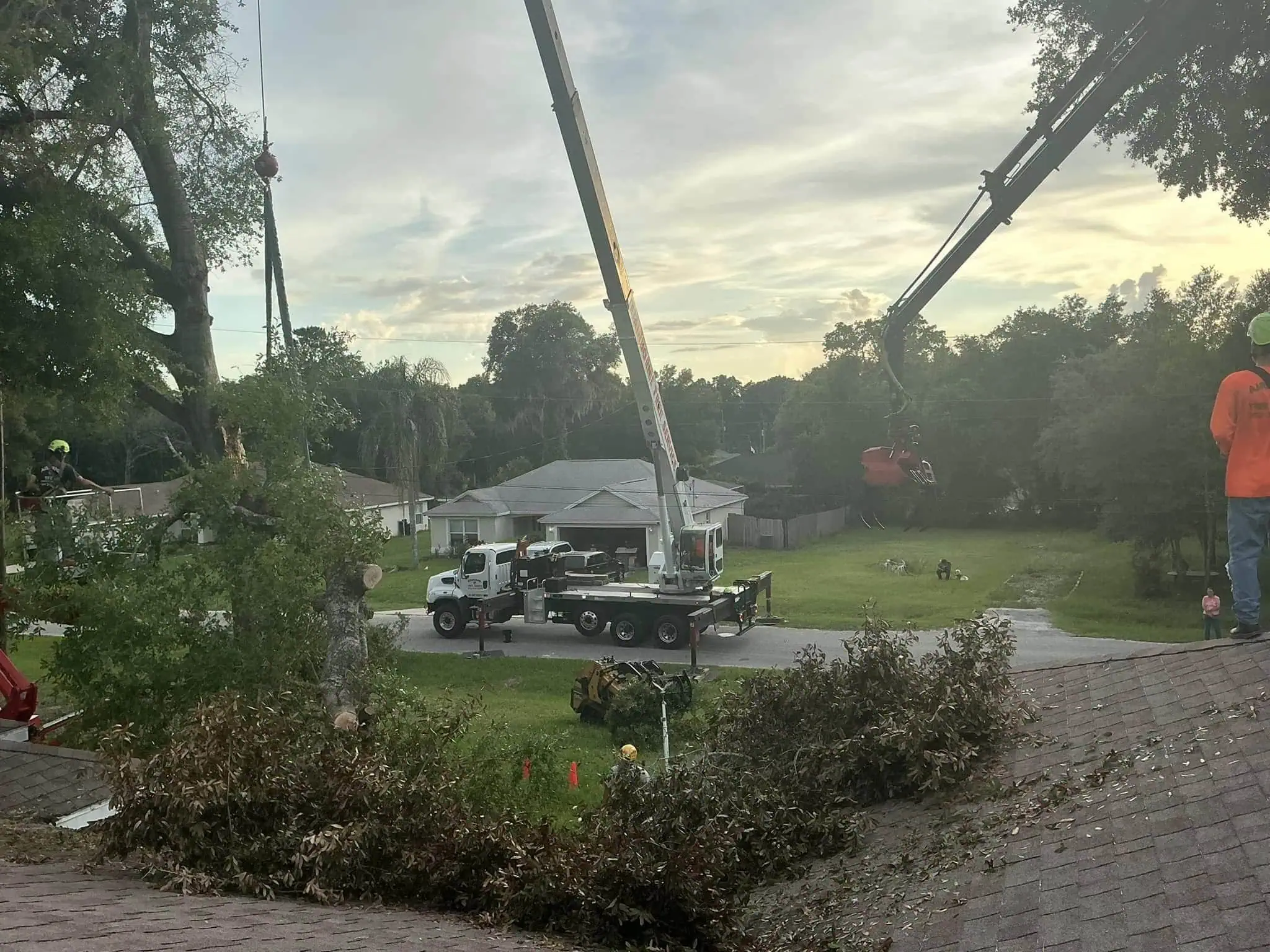 Tree removal near power lines in Central Florida using advanced equipment