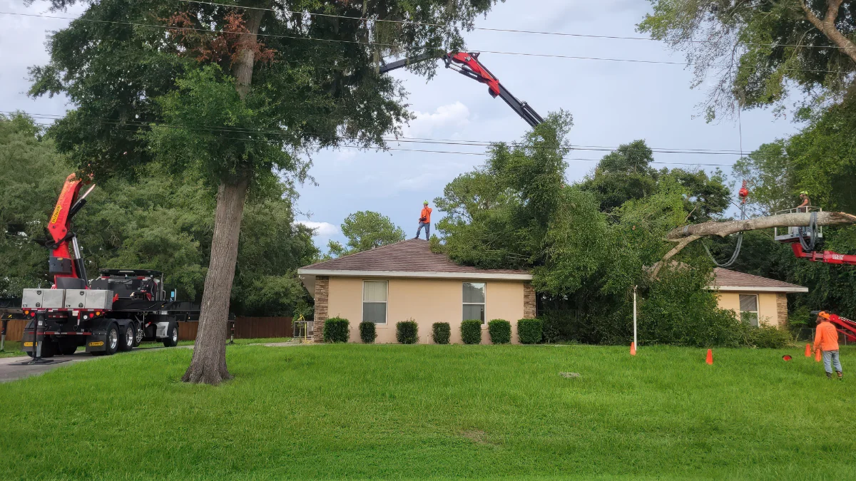 Airborne Tree Service crew performing emergency tree removal in Central Florida with crane equipment