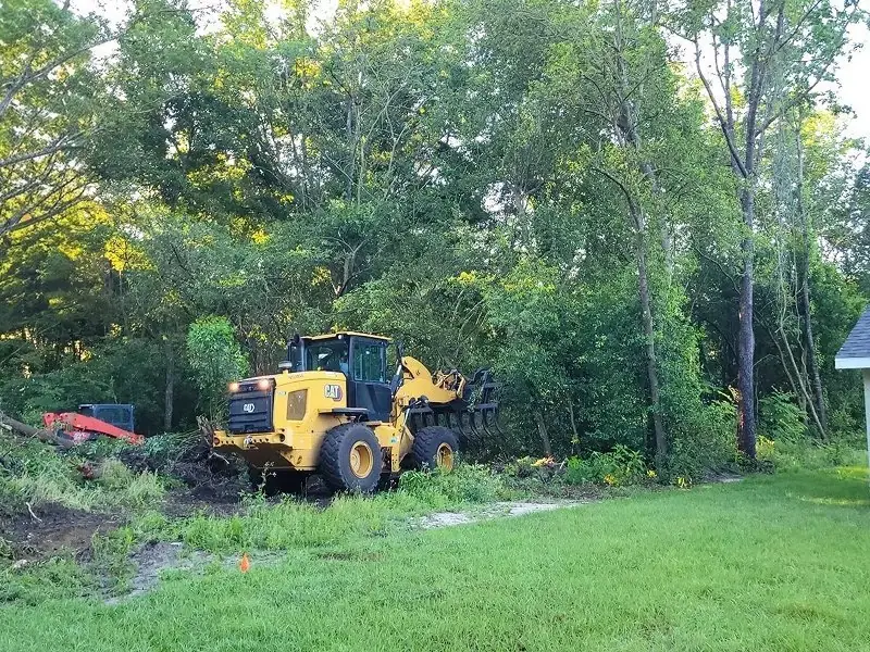 Tree Removal in Dunnellon, FL | Airborne Tree Service
